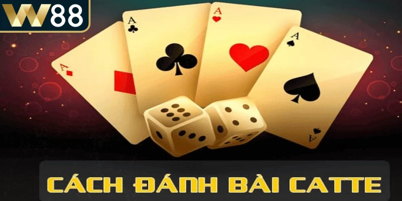 Cách chơi Catte luôn thu hút nhờ sự kết hợp giữa chiến thuật tinh tế